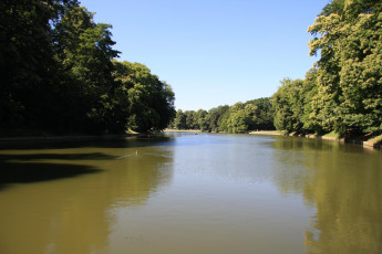 Картинка природа парк