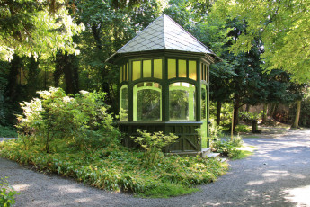 Картинка природа парк