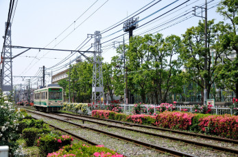 Картинка техника трамваи