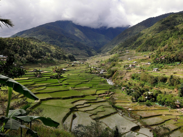 Обои картинки фото рисовые, террасы, филиппины, природа, поля