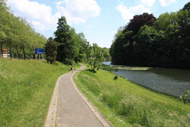 Обои картинки фото природа, парк