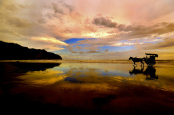 Картинка природа побережье пейзаж повозка небо море