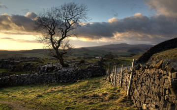 Картинка природа деревья забор поле