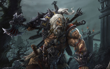 Картинка видео игры diablo iii оружие доспехи меч секира деревья варвар седые волосы борода косички замок