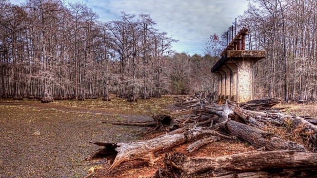 Обои картинки фото природа, другое, деревья, небо, опоры