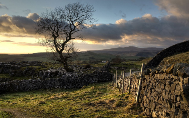 Обои картинки фото природа, деревья, забор, поле