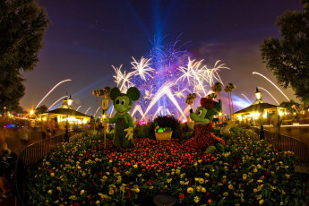 Картинка города диснейленд фейерверк иллюминация зрелище шоу