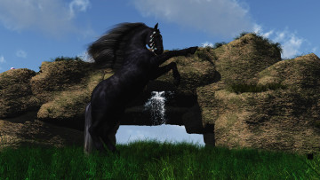Картинка 3д+графика животные+ animals брызги лошадь
