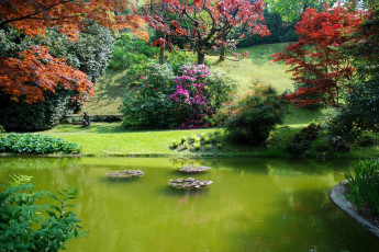 Картинка природа парк пруд кусты деревья