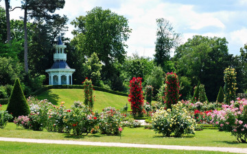 Картинка природа парк беседка тропинка розарий