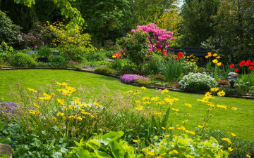 Картинка природа парк лужайка клумбы кусты