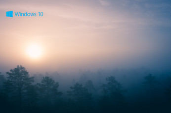 Картинка компьютеры windows++10 логотип лес фон
