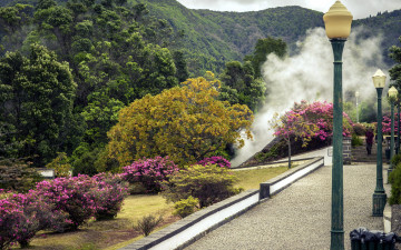 Картинка природа парк деревья кусты фонари