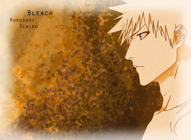 Обои картинки фото аниме, bleach, блич