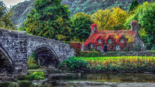 Обои картинки фото города, - здания,  дома, река, дом, мост, деревья