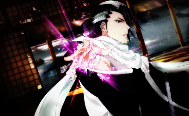 Обои картинки фото аниме, bleach, бьякуя