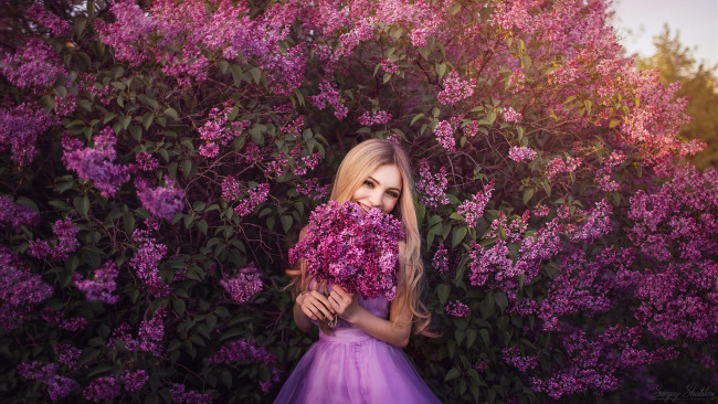 Обои картинки фото девушки, - блондинки,  светловолосые, блондинка, сирень, весна, улыбка