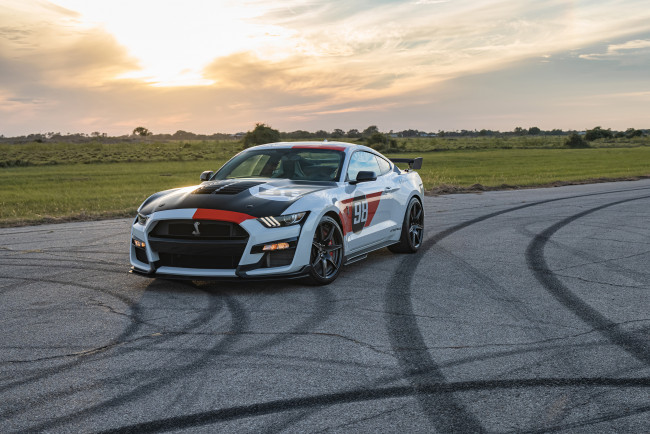 Обои картинки фото автомобили, mustang