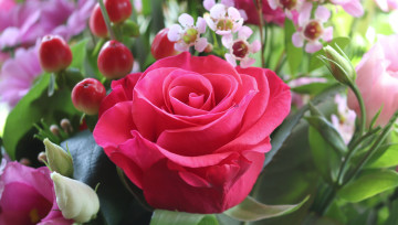 Картинка цветы разные+вместе роза эустома
