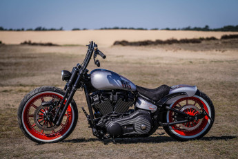 Картинка харлей мотоциклы harley-davidson мотоцикл байк серый thunderbike customs