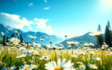 Картинка 3д+графика природа+ nature поляна цветы ромашки горы трава