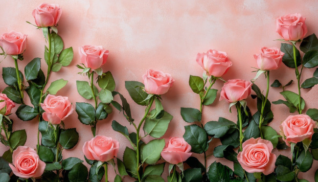 Обои картинки фото 3д графика, цветы , flowers, розы