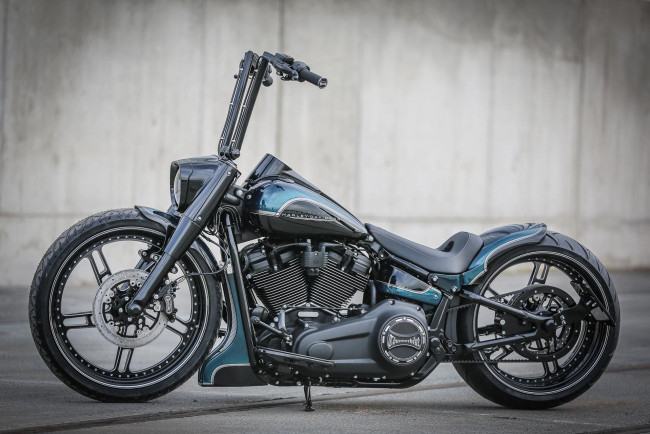 Обои картинки фото харлей, мотоциклы, harley-davidson, мотоцикл, байк, чёрно-синий, thunderbike, customs