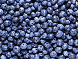Картинка еда голубика черника