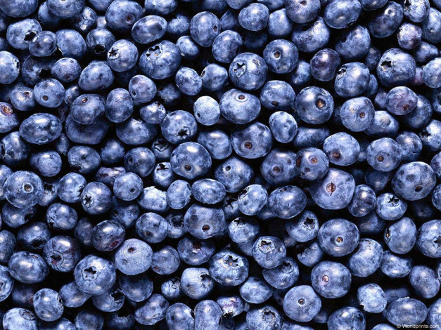 Обои картинки фото еда, голубика, черника