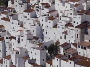 Картинка города панорамы