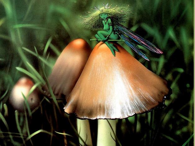 Обои картинки фото фэнтези, феи