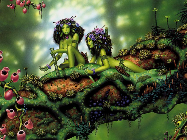 Обои картинки фото фэнтези, эльфы