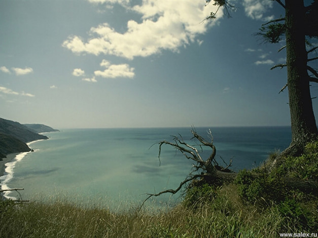 Обои картинки фото 