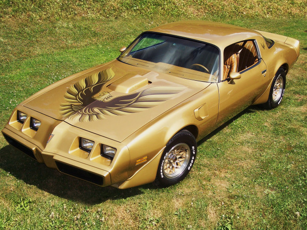 Обои картинки фото автомобили, pontiac