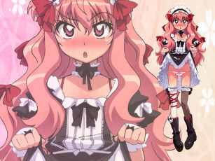 Картинка аниме zero no tsukaima