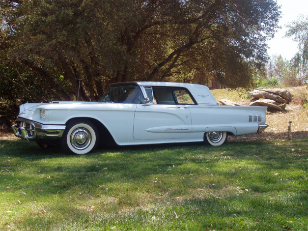 Обои картинки фото автомобили, ford