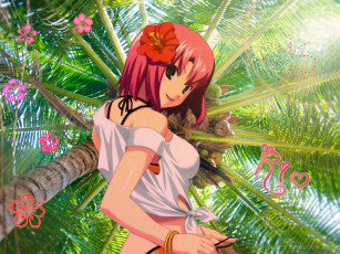 обоя аниме, rio, rainbow, gate