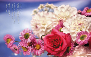 Картинка цветы разные вместе