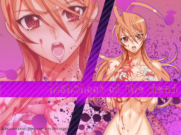 Обои картинки фото academy, apocalypse, аниме, highschool, of, the, dead