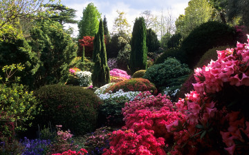 Картинка rock garden природа парк деревья кусты цветы камни