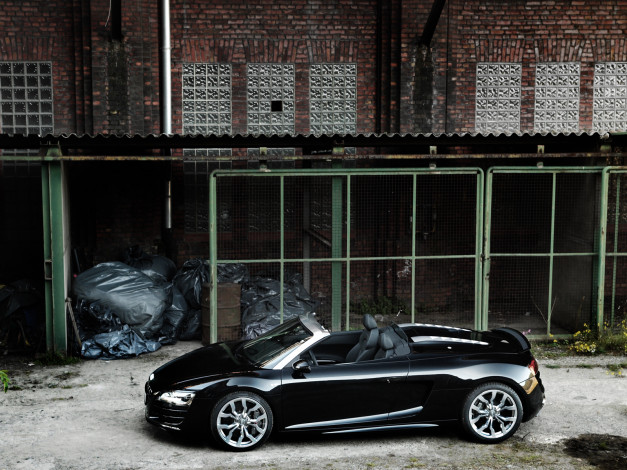 Обои картинки фото автомобили, audi, cat