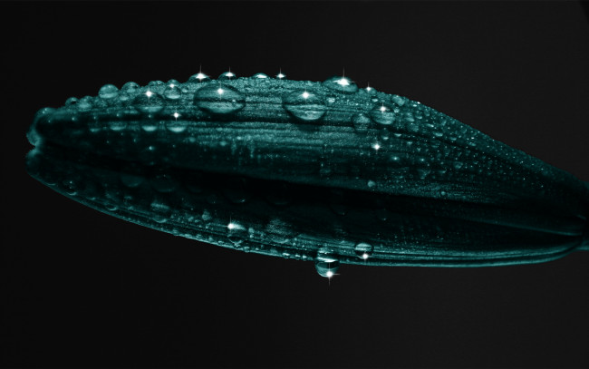 Обои картинки фото разное, капли, брызги, всплески, листочек