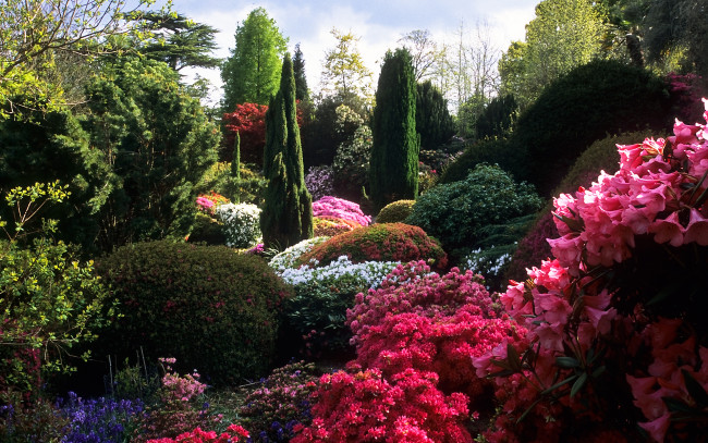 Обои картинки фото rock, garden, природа, парк, деревья, кусты, цветы, камни