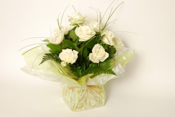 Картинка цветы розы