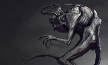 Картинка фэнтези существа хвост