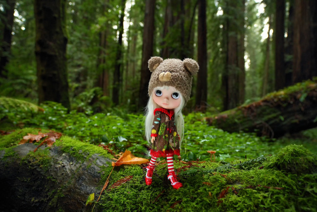 Обои картинки фото разное, игрушки, кукла, лес
