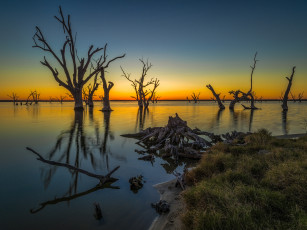 Картинка природа восходы закаты деревья зарево река