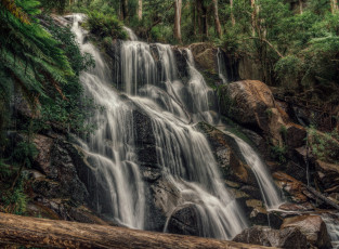 Картинка природа водопады река водопад лес