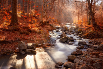 Картинка природа реки озера деревья осень река