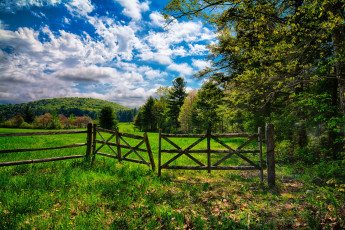 Картинка природа пейзажи изгородь холмы поле лес